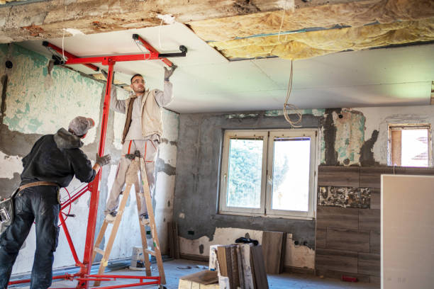 Best Basement Insulation  in Haines City, FL