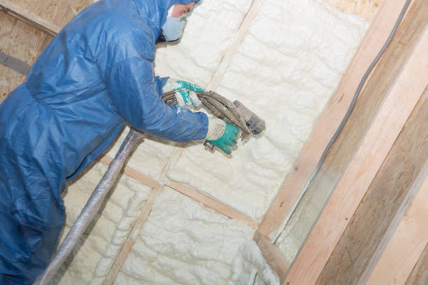 Best Crawl Space Insulation  in Haines City, FL